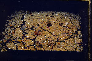 Cross Polarized, E17063