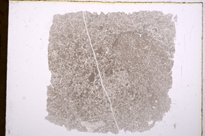 Plane Polarized, E17076