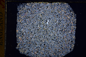 Cross Polarized, E17110