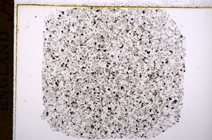 Plane Polarized, E17110