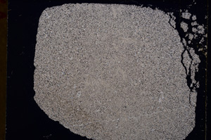 Cross Polarized, E17111