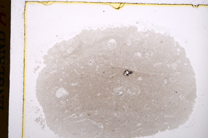 Plane Polarized, E17116