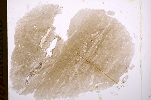 Plane Polarized, E17119/A