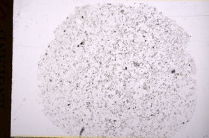 Plane Polarized, E17126