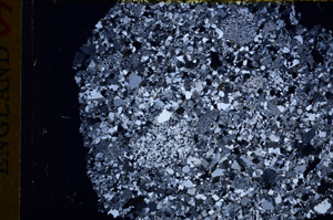 Cross Polarized, E17127