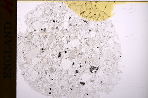 Plane Polarized, E17127/A