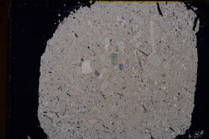 Cross Polarized, E17154