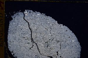 Cross Polarized, E17155