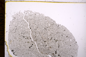 Plane Polarized, E17155