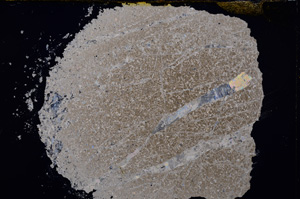 Cross Polarized, E17161