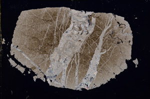 Cross Polarized, E17162