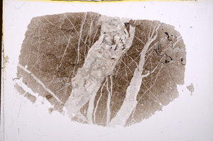 Plane Polarized, E17162