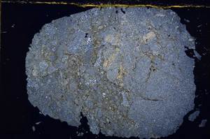 Cross Polarized, E17171