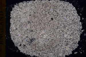 Cross Polarized, E17247