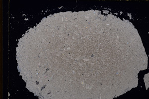 Cross Polarized, E17248