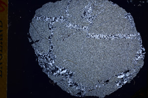 Cross Polarized, E17249