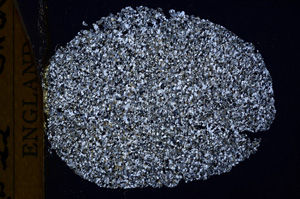 Cross Polarized, E17250