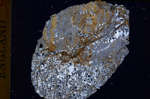 Cross Polarized, E17251