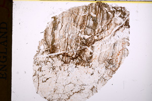 Plane Polarized, E17251