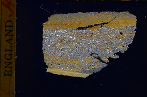 Cross Polarized, E17252