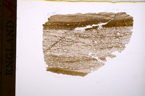 Plane Polarized, E17252