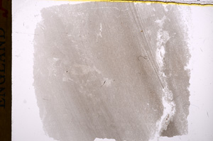 Plane Polarized, E17256