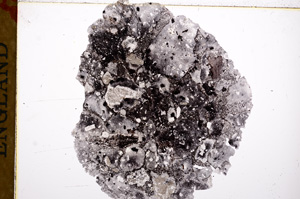 Plane Polarized, E17285