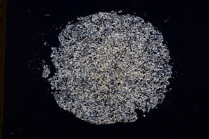 Cross Polarized, E17287