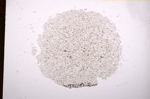 Plane Polarized, E17287