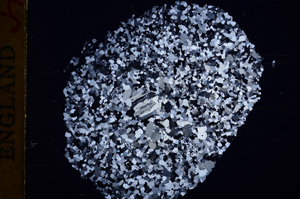 Cross Polarized, E17290