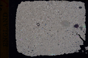 Cross Polarized, E17342