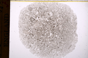 Plane Polarized, E17343