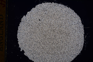 Cross Polarized, E17347