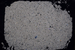 Cross Polarized, E17355