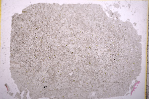 Plane Polarized, E17355