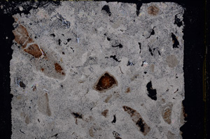 Cross Polarized, E17358