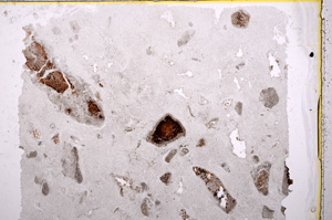 Plane Polarized, E17358