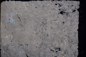 Cross Polarized, E17359