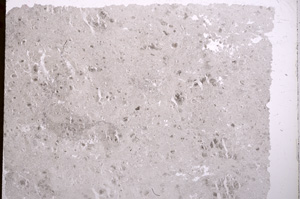 Plane Polarized, E17359