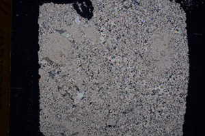 Cross Polarized, E17360