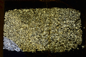 Cross Polarized, E17361