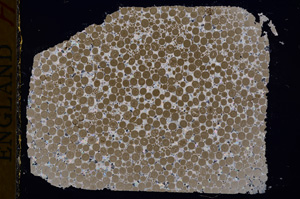 Cross Polarized, E17363