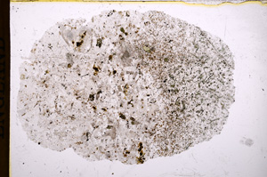 Plane Polarized, E17372