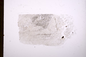 Plane Polarized, E17420/A