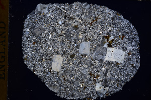 Cross Polarized, E17426