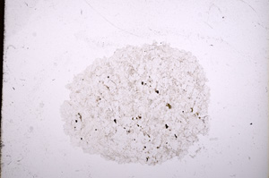 Plane Polarized, E17444