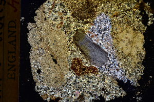 Cross Polarized, E17449