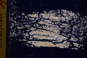 Cross Polarized, E17450