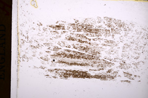 Plane Polarized, E17450