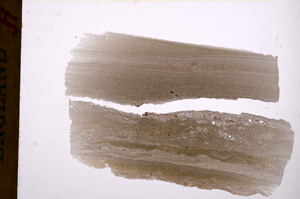 Plane Polarized, E17455